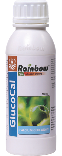 GLUCOCAL